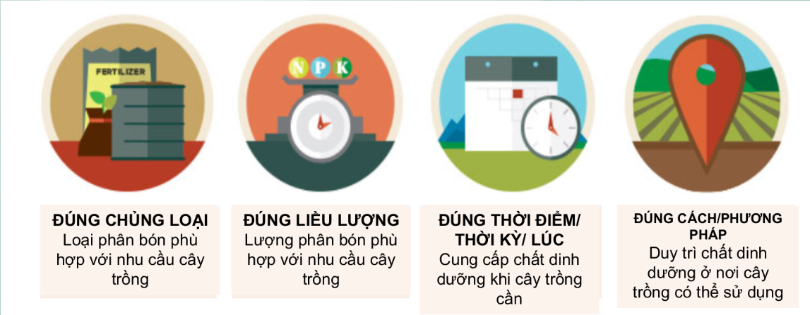 Quản Lý Dinh Dưỡng